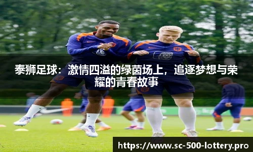 泰狮足球：激情四溢的绿茵场上，追逐梦想与荣耀的青春故事